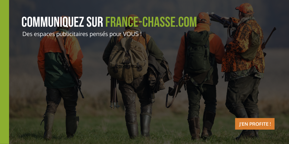 France-chasse.com en cours