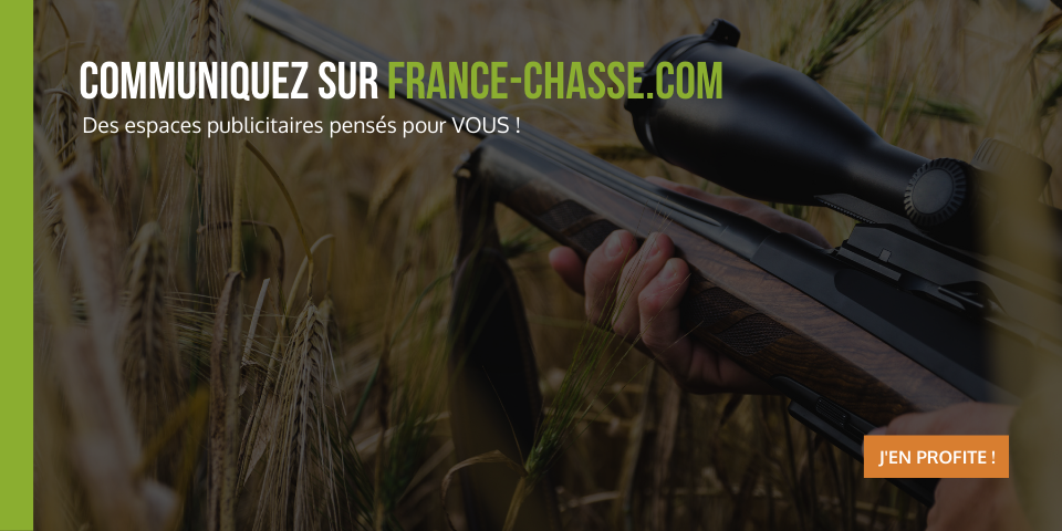 France-chasse.com en cours