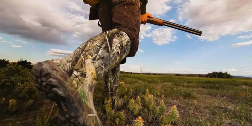 "Alpes-Maritimes : chute mortelle d'un chasseur dans la Vésubie"