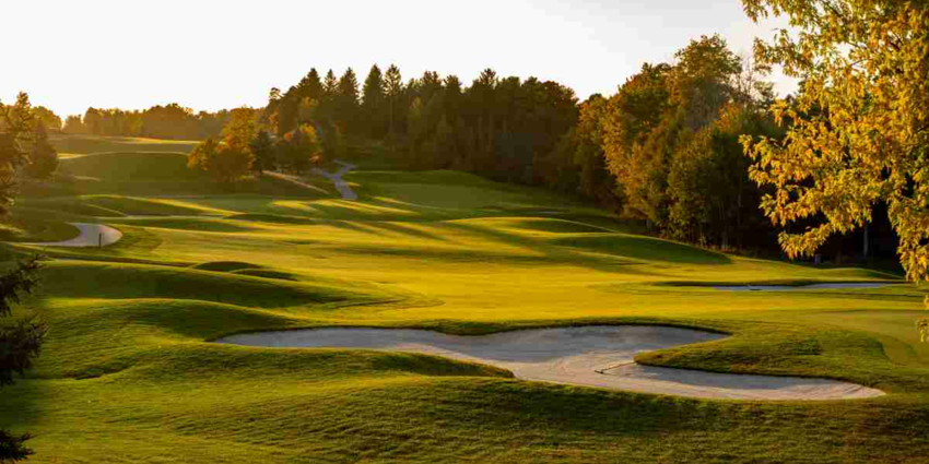 "Val-d'Oise : un chasseur de 41 ans se noie en tentant de sauver son chien lors d'une battue"