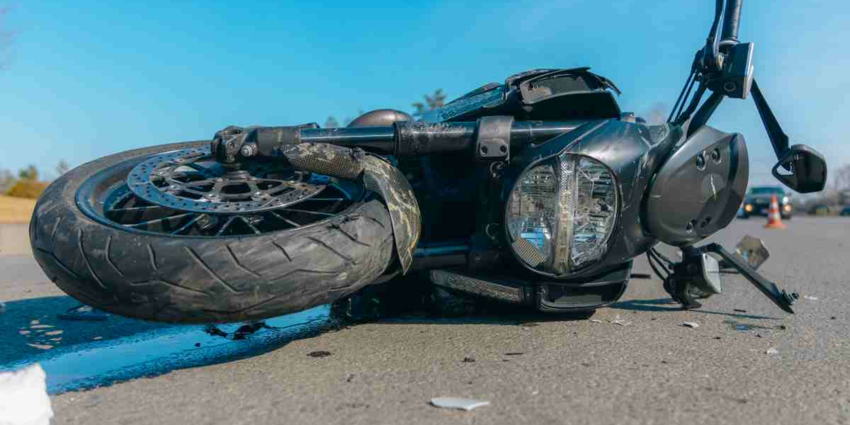 "Haute-Vienne : un motard grièvement blessé après avoir percuté un sanglier sur l’autoroute, les élus appellent à une meilleure gestion du grand gibier"