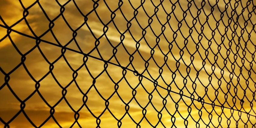 "Haute-Marne : la clôture « anti-loup » à 30€ le mètre n'a pas résisté"