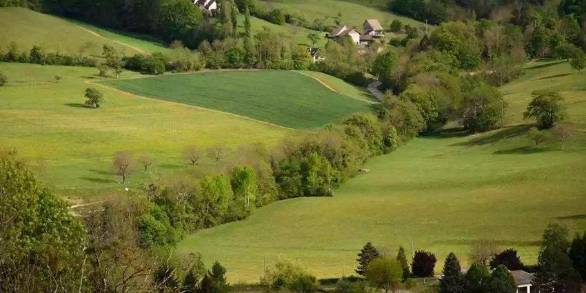 "Normandie : un agriculteur condamné à replanter 10 km de haies"