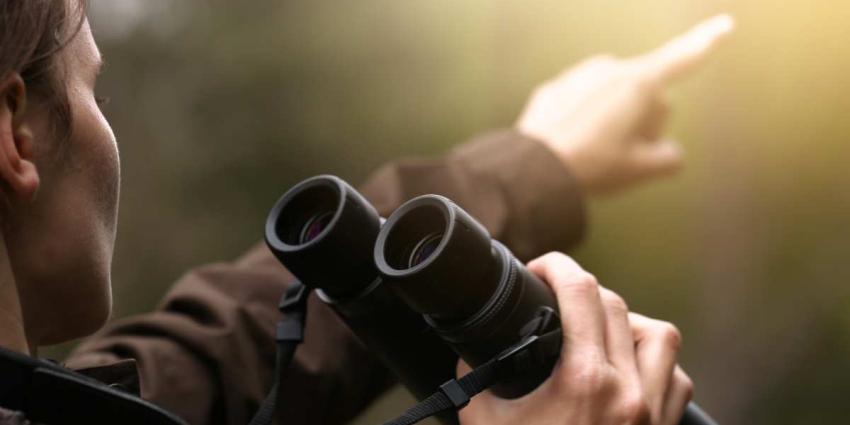Bien choisir ses jumelles pour la chasse : les clés pour voir juste