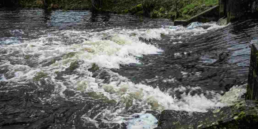 "Charente : il sacrifie sa vie pour tenter de sauver son chien de la rivière"