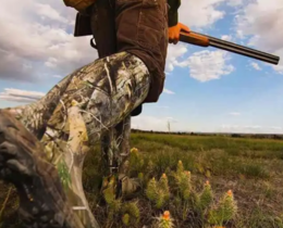 "Alpes-Maritimes : chute mortelle d'un chasseur dans la Vésubie"