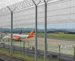 "Biarritz : 16 sangliers prélevés lors d'une battue exceptionnelle à l'aéroport"