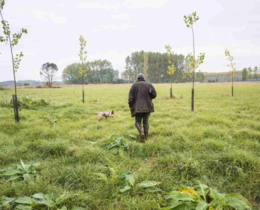 "Neuil : un chasseur blessé après un tir accidentel, la vigilance de mise"