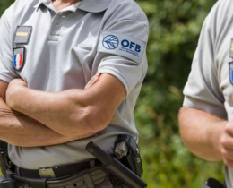 "Côtes-d'Armor : 6 mois de prison pour un homme chassant sans permis ni assurance"