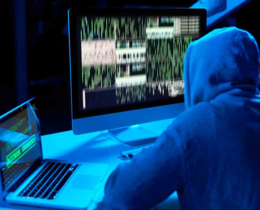 "Cyberattaque FNC : les données d'un million de chasseurs mises en vente sur le darknet"