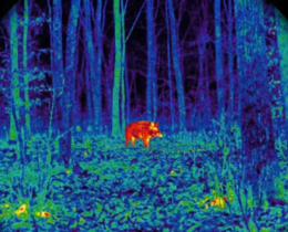 "Cher : La justice annule l'usage illégal de lunettes thermiques pour les tirs de nuit"