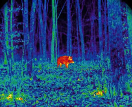 "Justice : Coup d'arrêt pour One Voice, les tirs de nuit maintenus en Moselle"