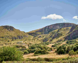 "Bain de sang en Sicile : 3 chasseurs retrouvés criblés de balles, l'énigme totale"