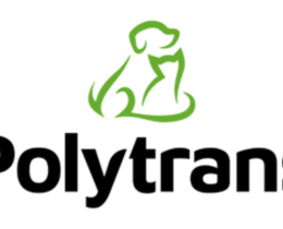 "Comment bien préparer un chien de chasse à la vie en chenil ?"