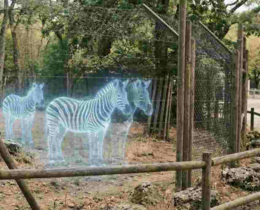 "Lyon : Des animaux remplacés par des hologrammes pour séduire les animalistes ?"