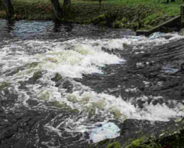 "Charente : il sacrifie sa vie pour tenter de sauver son chien de la rivière"