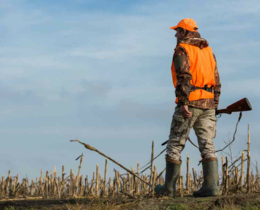 "Espagne : face à la Peste Porcine, les chasseurs payés jusqu'à 55€ par sanglier !"
