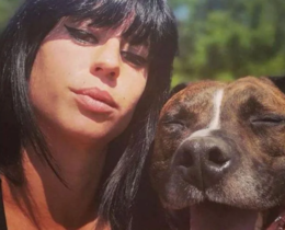 "Affaire Pilarski : Coup de théâtre, Christophe Ellul avoue que son chien Curtis est le tueur"