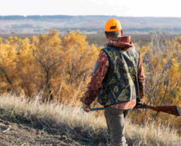 "Allemagne : le nombre de chasseurs explose et atteint un record historique"