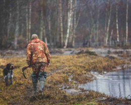 "Deux-Sèvres : la chasse du gibier d'eau restreinte dans 32 communes face à la Grippe Aviaire"