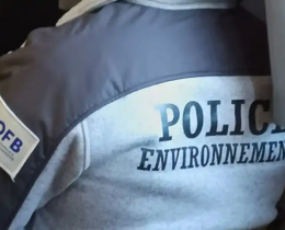 "Isère : Armes, bécasses et marché noir…  L'OFB fait tomber un trafiquant de venaison"