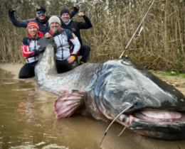 "Un silure géant de 2,92 m bat le record du monde en Pologne !"