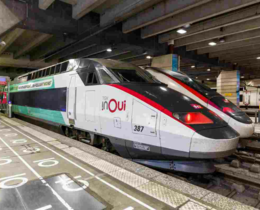 "TGV contre sangliers : la SNCF déploie une arme sonore redoutable sur les rails"