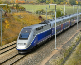 "Roanne-Lyon : un sanglier percute un TER et bloque le trafic durant huit heures"