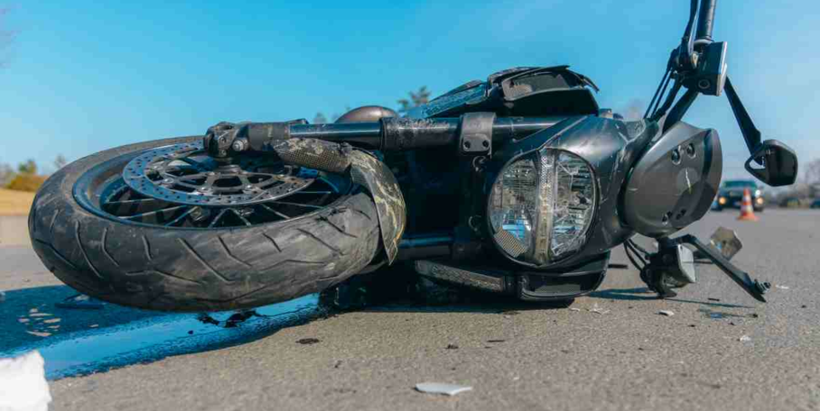"Haute-Vienne : un motard grièvement blessé après avoir percuté un sanglier sur l’autoroute, les élus appellent à une meilleure gestion du grand gibier"