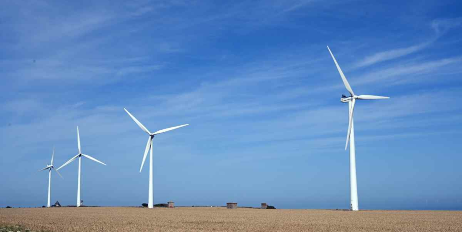 "Vienne : La justice annule un projet d'éoliennes géantes pour sauver un oiseau"