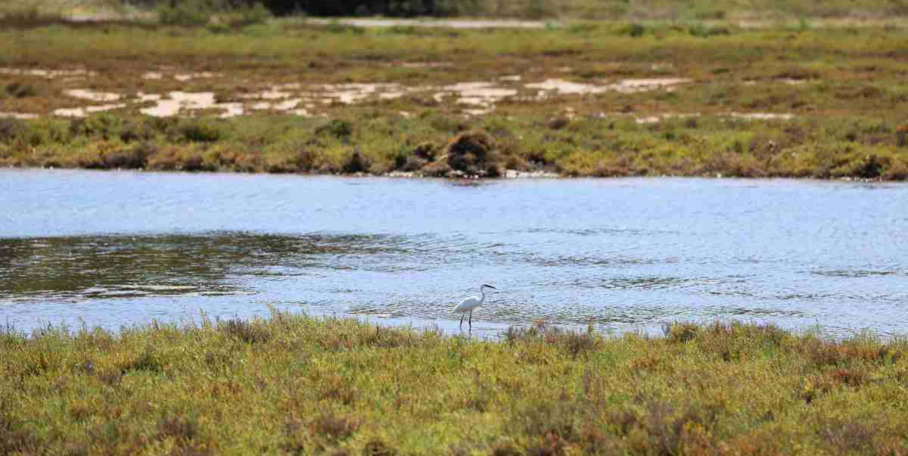 "Landes : les chasseurs officiellement reconnus comme acteurs clés du climat"