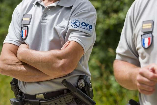 "Côtes-d'Armor : 6 mois de prison pour un homme chassant sans permis ni assurance"