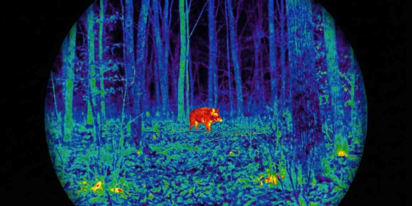 "Cher : La justice annule l'usage illégal de lunettes thermiques pour les tirs de nuit"