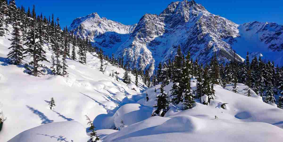 "Lagopède : Le Conseil d'État demande l'interdiction de la chasse pour 5 ans"