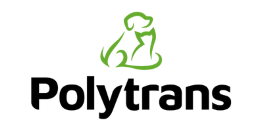 "Comment bien préparer un chien de chasse à la vie en chenil ?"