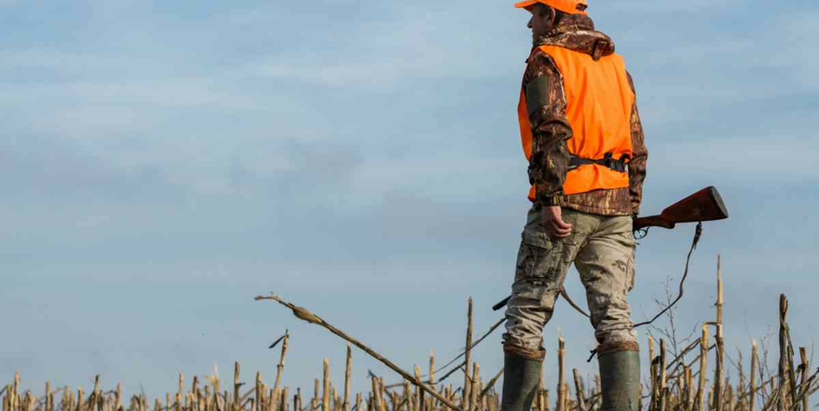 "Espagne : face à la Peste Porcine, les chasseurs payés jusqu'à 55€ par sanglier !"