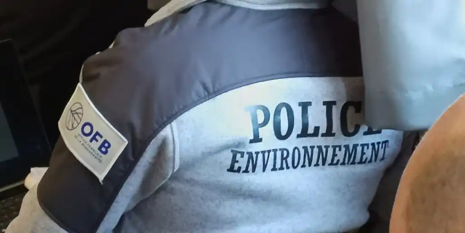 "Isère : Armes, bécasses et marché noir…  L'OFB fait tomber un trafiquant de venaison"