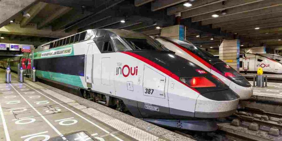 "TGV contre sangliers : la SNCF déploie une arme sonore redoutable sur les rails"
