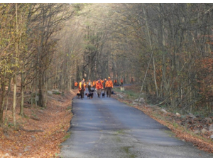 Novembre 2026. Chasse en battue en République tchèque.