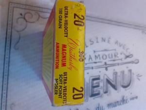 20 balles 300 weatherby en 150 gr