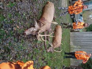 Belle action de chasse GG du LUNDI