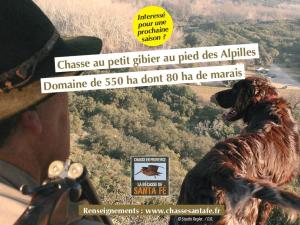 Chasse en Provence