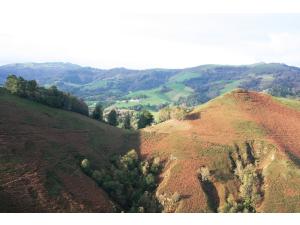 Location postes de tir au vol à la palombe