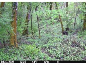 Journée de chasse sud Hte-Marne