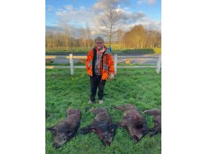 TRES BELLE CHASSE GG DU LUNDI Dourdan Essonne