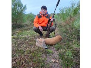 CHASSE A L’ARC - CHASSE A TIR - Saison 2025-2026 - AFFÛT ET APPROCHE aux grands gibiers, en FORET DOMANIALE DE BERCE, département 72, sur un territoire de 1100 hectares