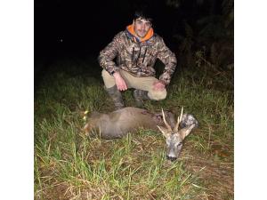 CHASSE A L’ARC - CHASSE A TIR - Saison 2025-2026 - AFFÛT ET APPROCHE aux grands gibiers, en FORET DOMANIALE DE BERCE, département 72, sur un territoire de 1100 hectares