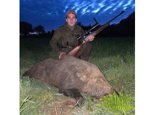 CHASSE A L’ARC - CHASSE A TIR - Saison 2025-2026 - AFFÛT ET APPROCHE aux grands gibiers, en FORET DOMANIALE DE BERCE, département 72, sur un territoire de 1100 hectares
