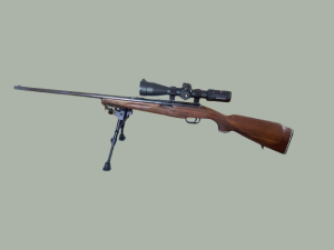 Carabine REINA 450
