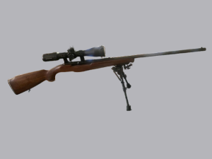 Carabine REINA 450